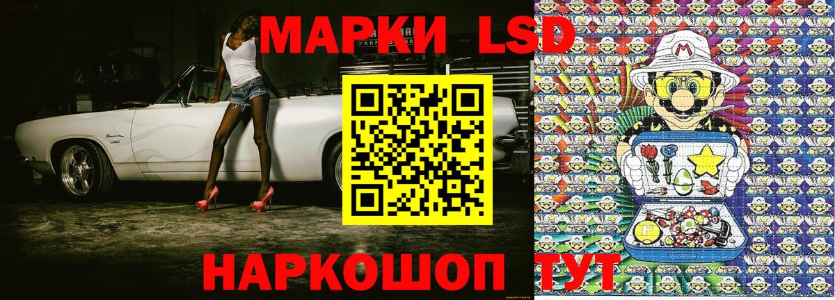 Псилоцибиновые грибы Осинники