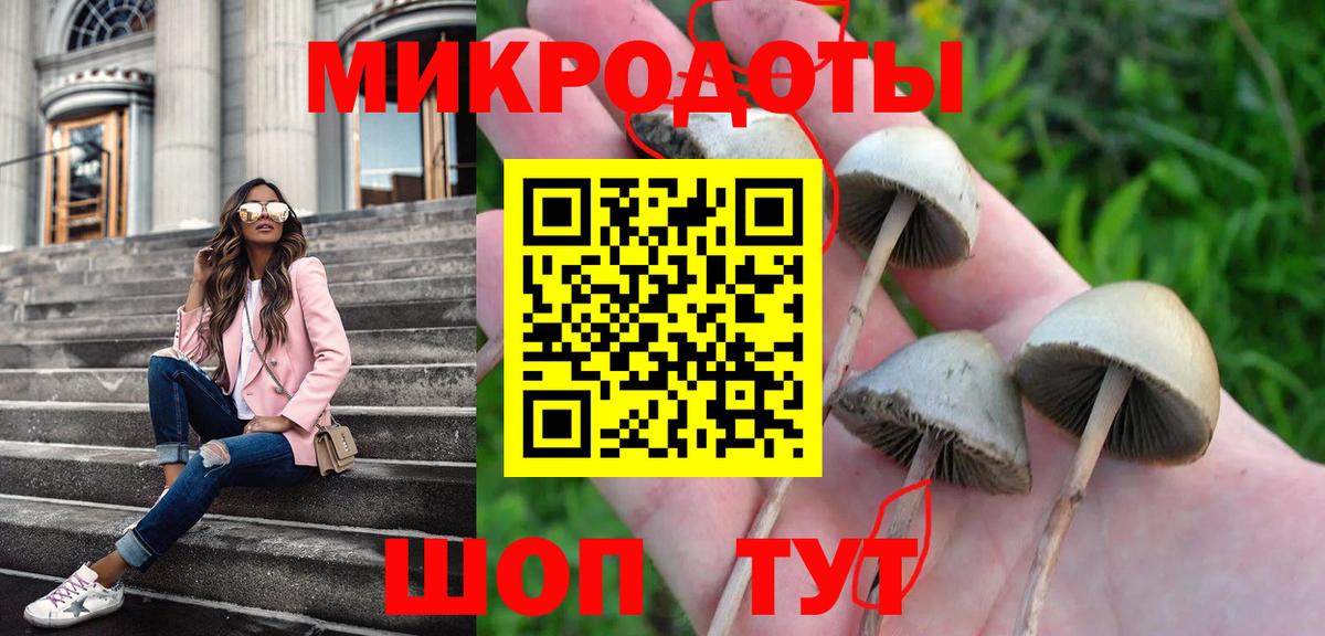 Галлюциногенные грибы GOLDEN TEACHER Осинники