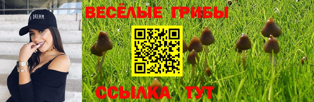 Галлюциногенные грибы MAGIC MUSHROOMS  Вход с VPN  Осинники 